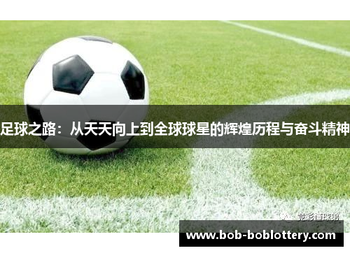 足球之路：从天天向上到全球球星的辉煌历程与奋斗精神